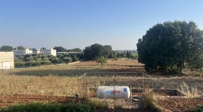 Casa indipendente 12 locali di 280 m² in Cisternino (72014)