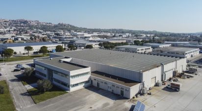 Warehouse of 8,167 m² in Castelfidardo (60022)