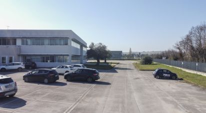 Warehouse of 8,167 m² in Castelfidardo (60022)