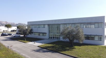 Warehouse of 8,167 m² in Castelfidardo (60022)