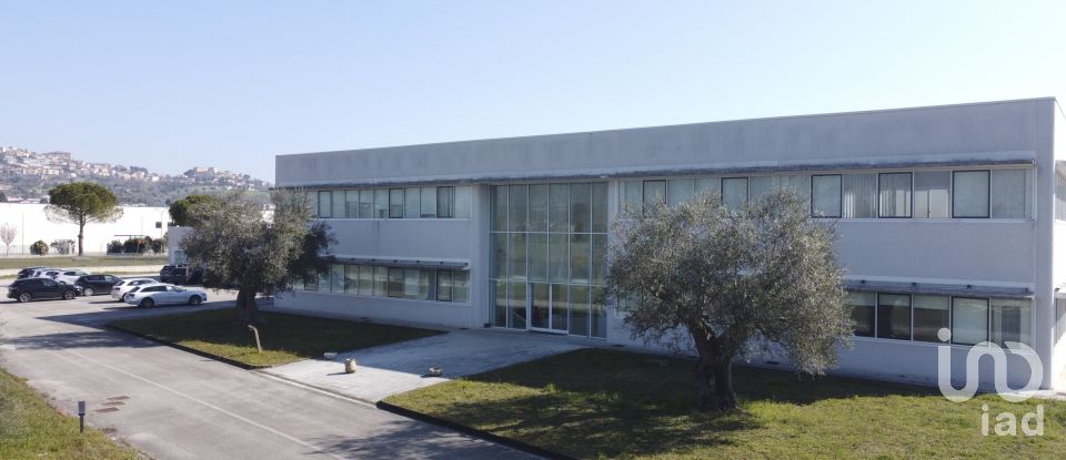 Warehouse of 8,167 m² in Castelfidardo (60022)