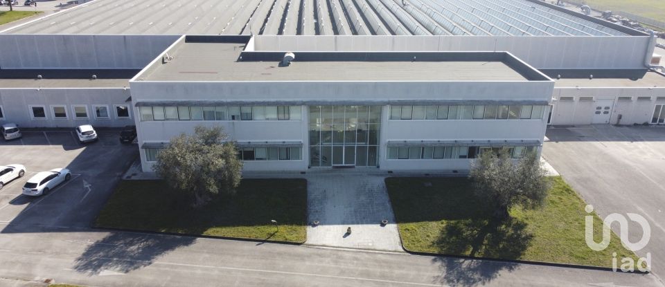 Warehouse of 8,167 m² in Castelfidardo (60022)