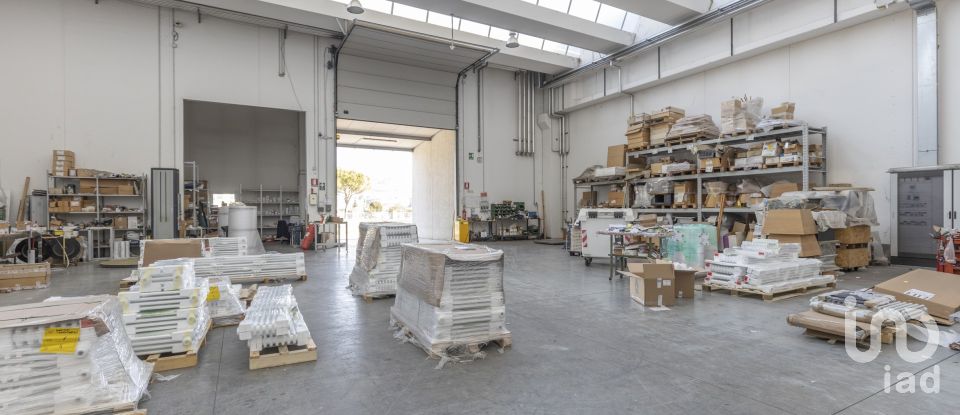 Warehouse of 8,167 m² in Castelfidardo (60022)