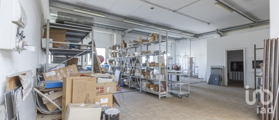 Warehouse of 8,167 m² in Castelfidardo (60022)