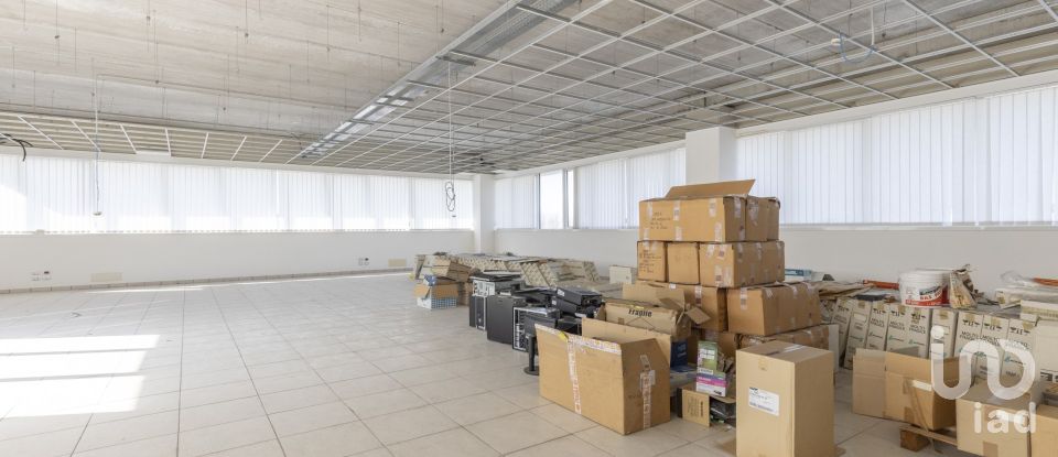 Warehouse of 8,167 m² in Castelfidardo (60022)