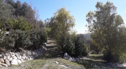 Land of 14,500 m² in Tortoreto (64018)