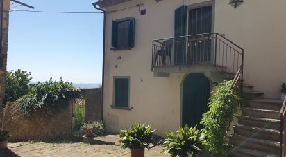 Villa Bifamiliare 4 locali di 90 m² in Scansano (58054)