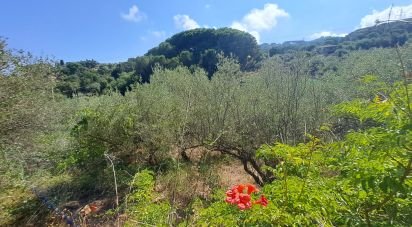 House 2 rooms of 54 m² in Cefalù (90015)