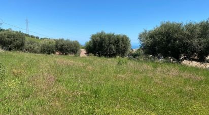 Land of 1,500 m² in Colonnella (64010)