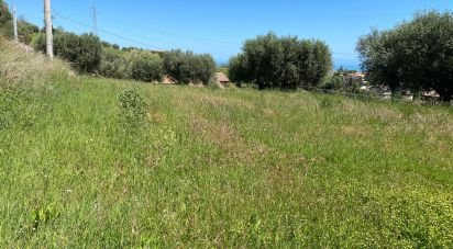 Land of 1,500 m² in Colonnella (64010)