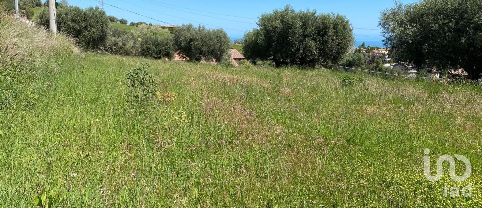 Land of 1,500 m² in Colonnella (64010)