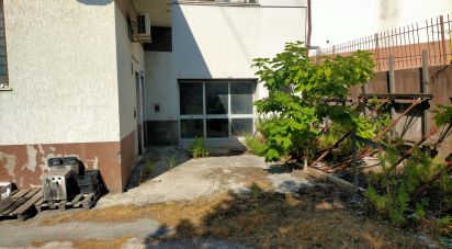 Shop / premises commercial of 240 m² in Ancona (60121)