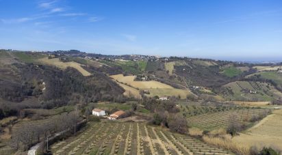 Country house 10 rooms of 222 m² in San Paolo di Jesi (60038)