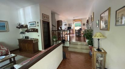 Villa a schiera 9 locali di 178 m² in Alghero (07041)