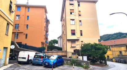 Appartamento 5 locali di 80 m² a Genova (16162)