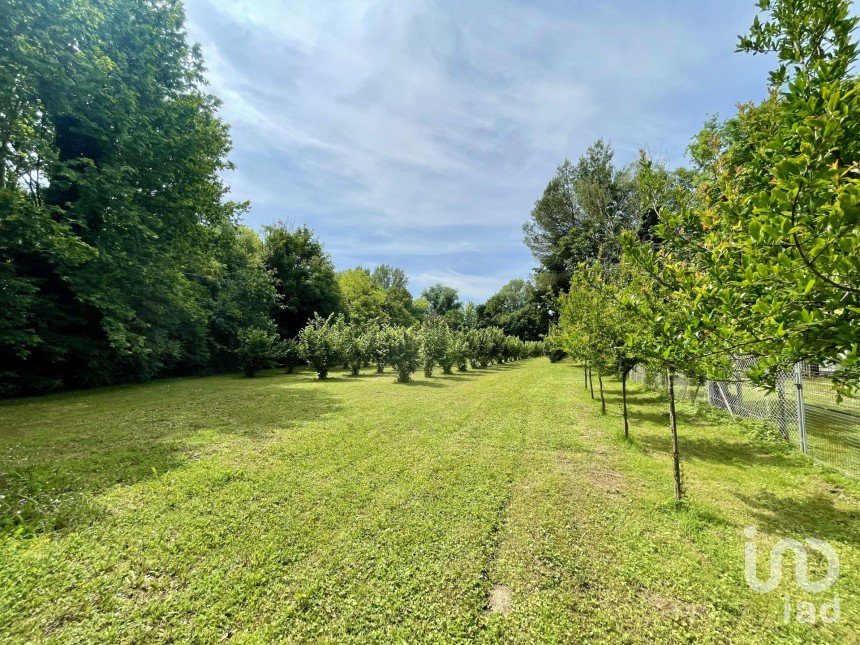 Agricultural land of 8,500 m² in Chiarano (31040)