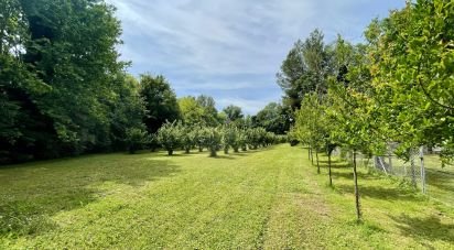 Agricultural land of 8,500 m² in Chiarano (31040)