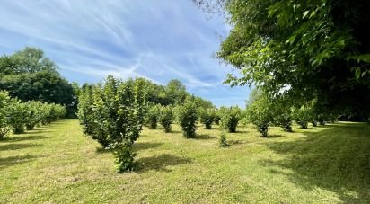 Terreno agricolo di 8.500 m² in Chiarano (31040)