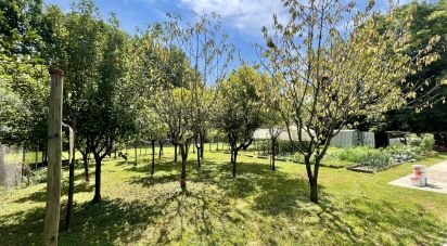 Agricultural land of 8,500 m² in Chiarano (31040)