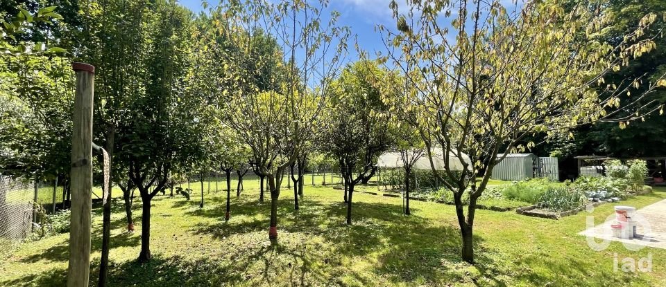 Terreno agricolo di 8.500 m² in Chiarano (31040)