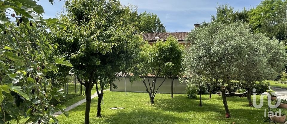 Terreno agricolo di 8.500 m² in Chiarano (31040)