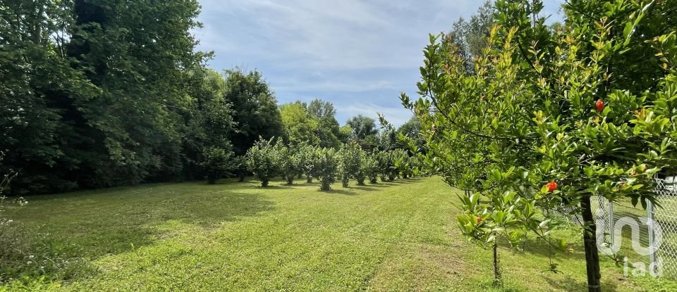 Agricultural land of 8,500 m² in Chiarano (31040)