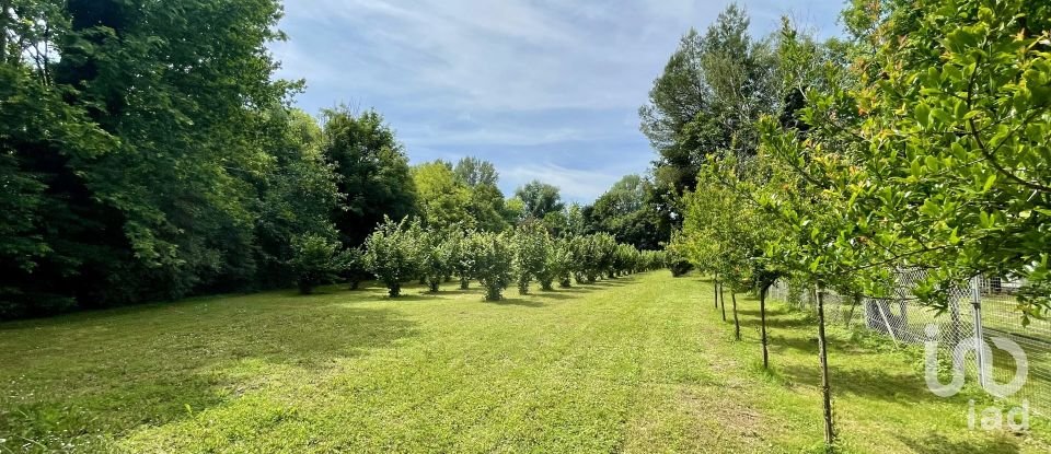 Agricultural land of 8,500 m² in Chiarano (31040)