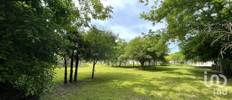 Agricultural land of 8,500 m² in Chiarano (31040)