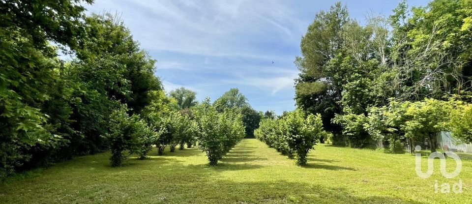 Agricultural land of 8,500 m² in Chiarano (31040)