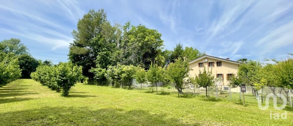 Agricultural land of 8,500 m² in Chiarano (31040)