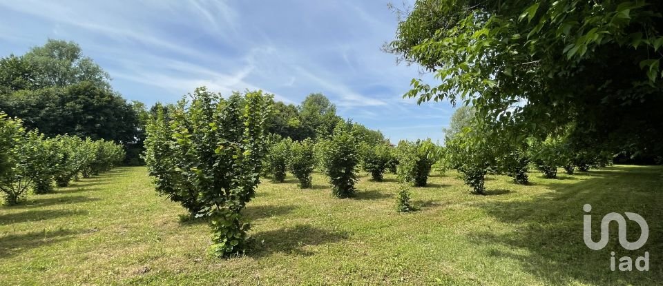 Agricultural land of 8,500 m² in Chiarano (31040)