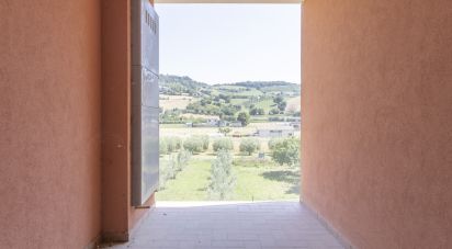 Three-room apartment of 68 m² in Potenza Picena (62018)