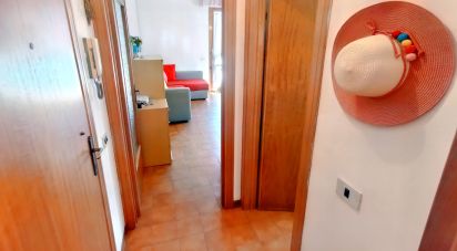 Two-room apartment of 51 m² in Rosignano Marittimo (57016)