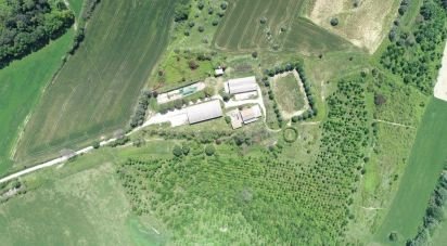 Country house 15 rooms of 2,750 m² in Osimo (60027)