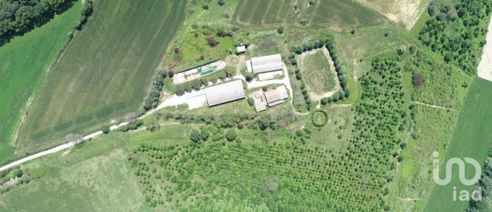 Country house 15 rooms of 2,750 m² in Osimo (60027)