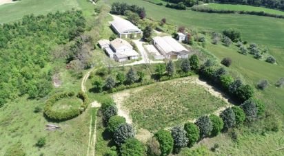 Country house 15 rooms of 2,750 m² in Osimo (60027)