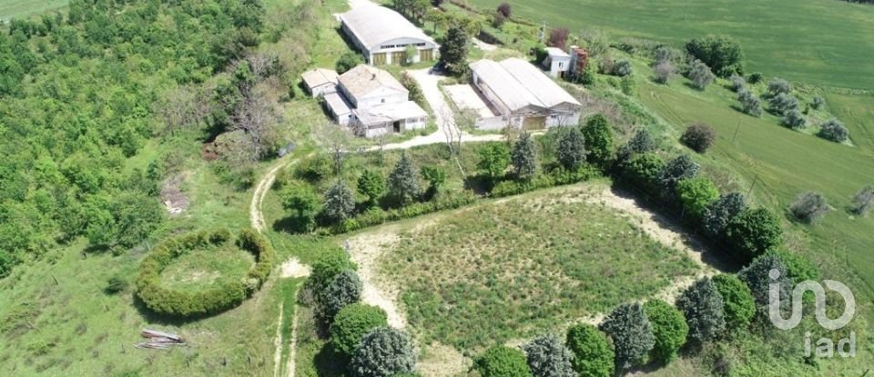 Rustico 15 locali di 2.750 m² in Osimo (60027)