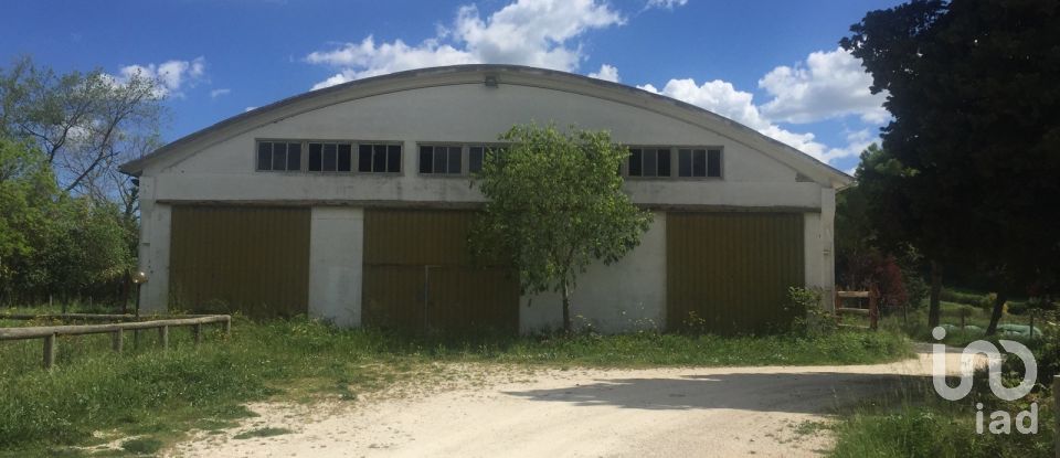 Rustico 15 locali di 2.750 m² in Osimo (60027)