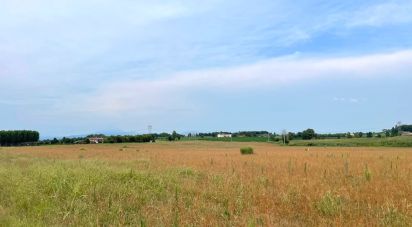 Agricultural land of 115,060 m² in Monzambano (46040)