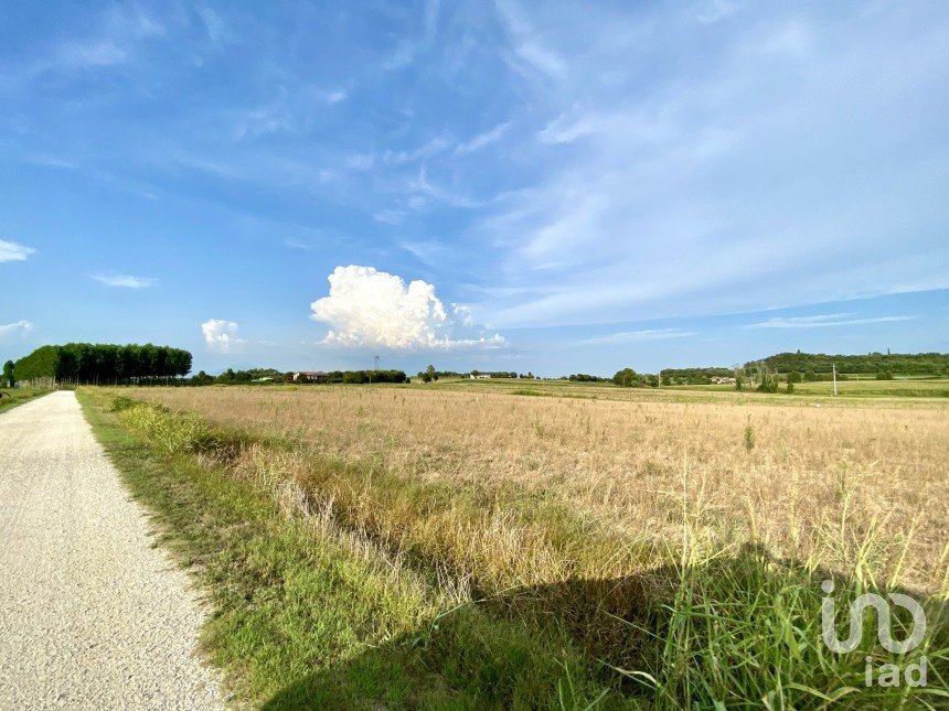 Agricultural land of 115,060 m² in Monzambano (46040)