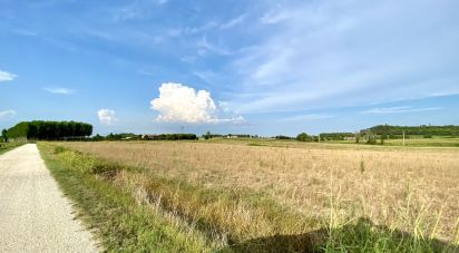 Agricultural land of 115,060 m² in Monzambano (46040)