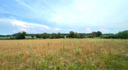 Agricultural land of 115,060 m² in Monzambano (46040)