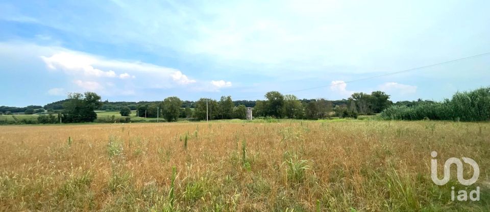 Agricultural land of 115,060 m² in Monzambano (46040)