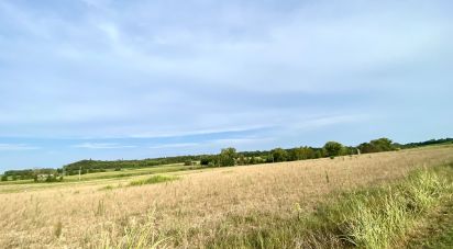 Agricultural land of 115,060 m² in Monzambano (46040)