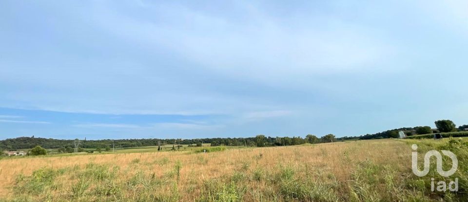 Agricultural land of 115,060 m² in Monzambano (46040)