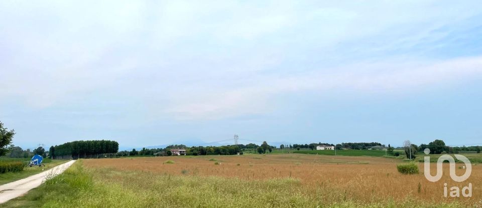 Agricultural land of 115,060 m² in Monzambano (46040)