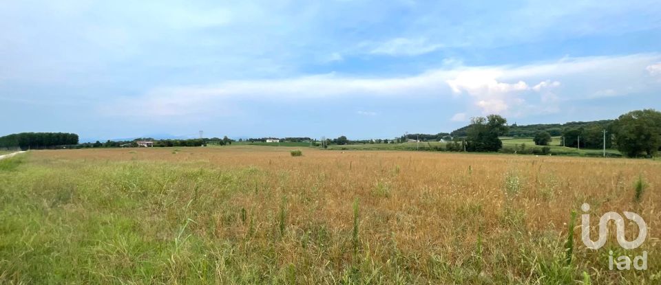 Agricultural land of 115,060 m² in Monzambano (46040)