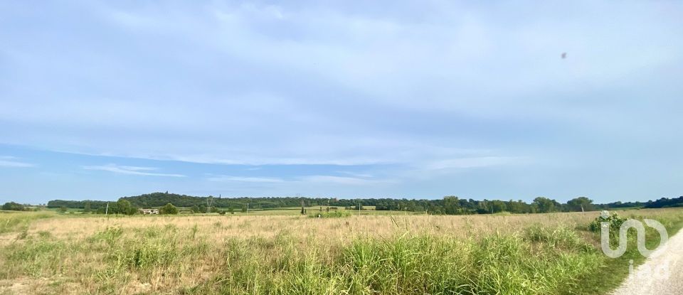 Agricultural land of 115,060 m² in Monzambano (46040)