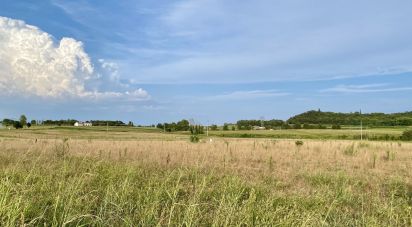 Agricultural land of 115,060 m² in Monzambano (46040)