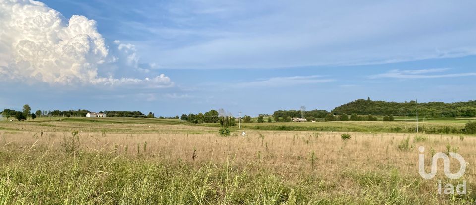 Agricultural land of 115,060 m² in Monzambano (46040)